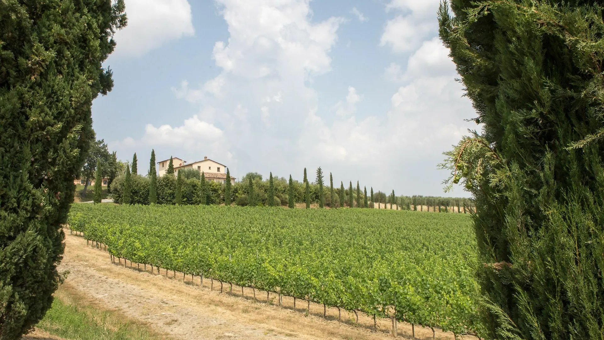 Le Buche Wine Resort&Spa Macciano 3*,