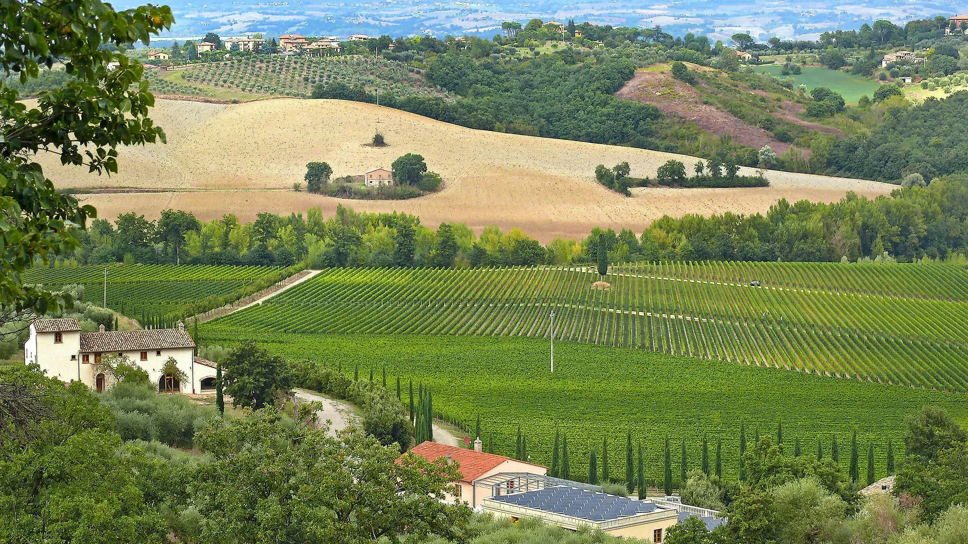 Le Buche Wine Resort&Spa Macciano 이탈리아